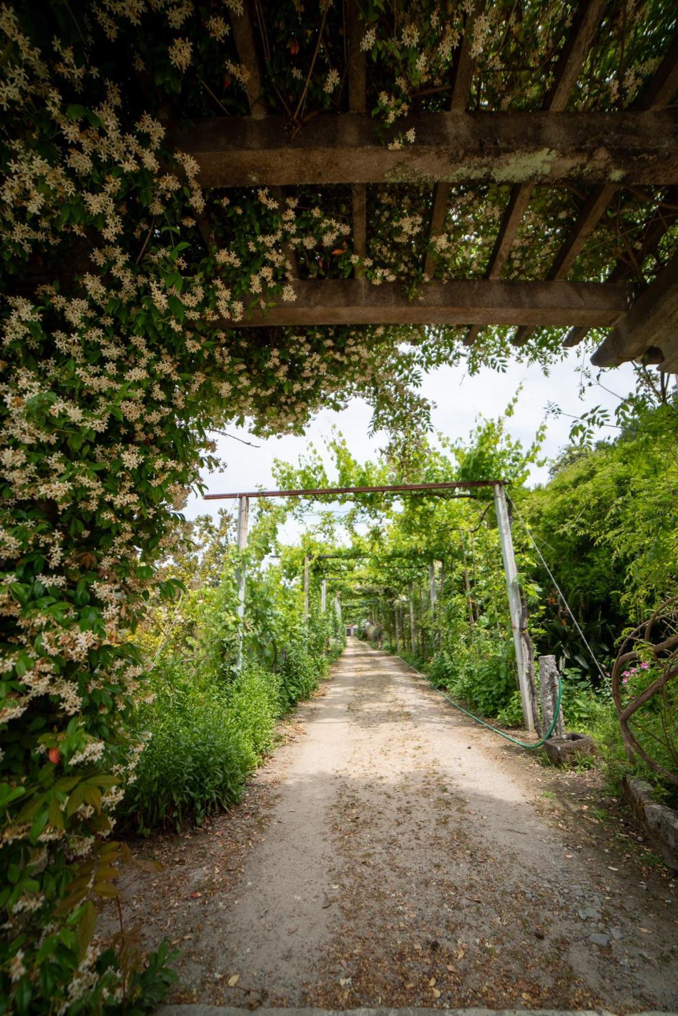 Casa Da Torre, Porto Manso Holiday home Ribadouro
